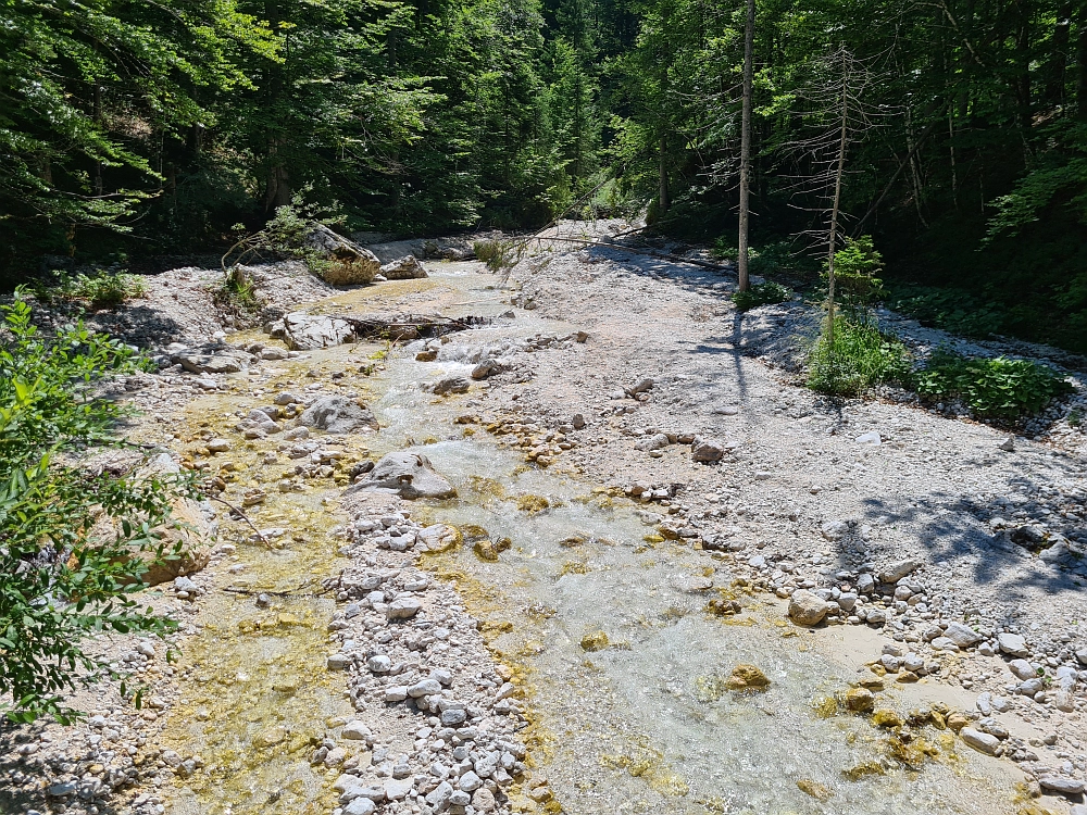 Slika je vidna v Google Chromu.