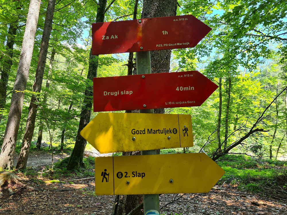 Slika je vidna v Google Chromu.