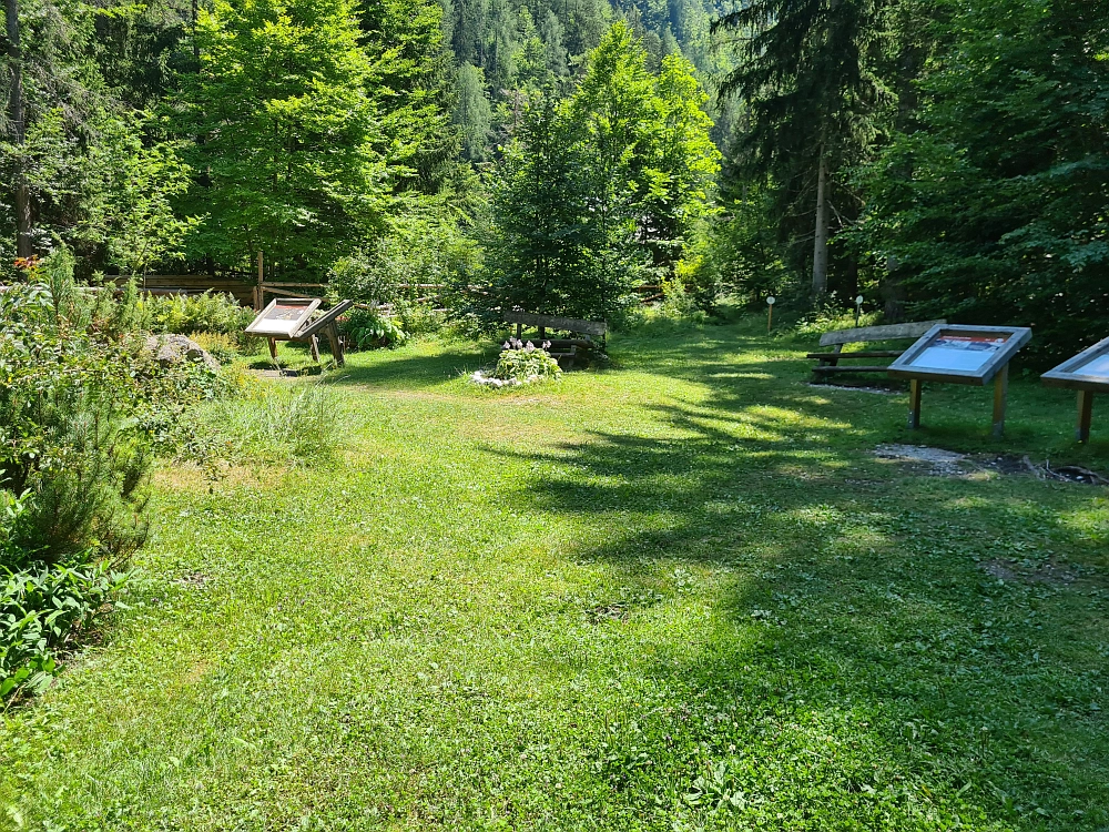 Slika je vidna v Google Chromu.