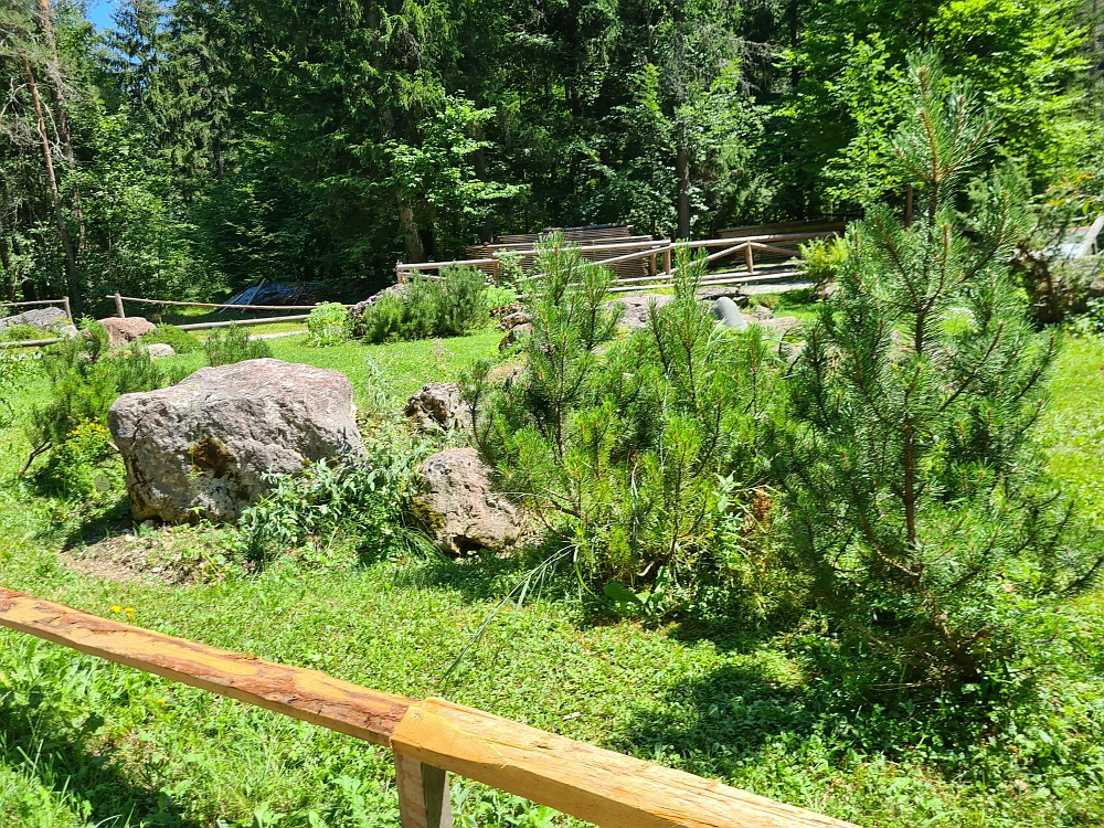 Slika je vidna v Google Chromu.