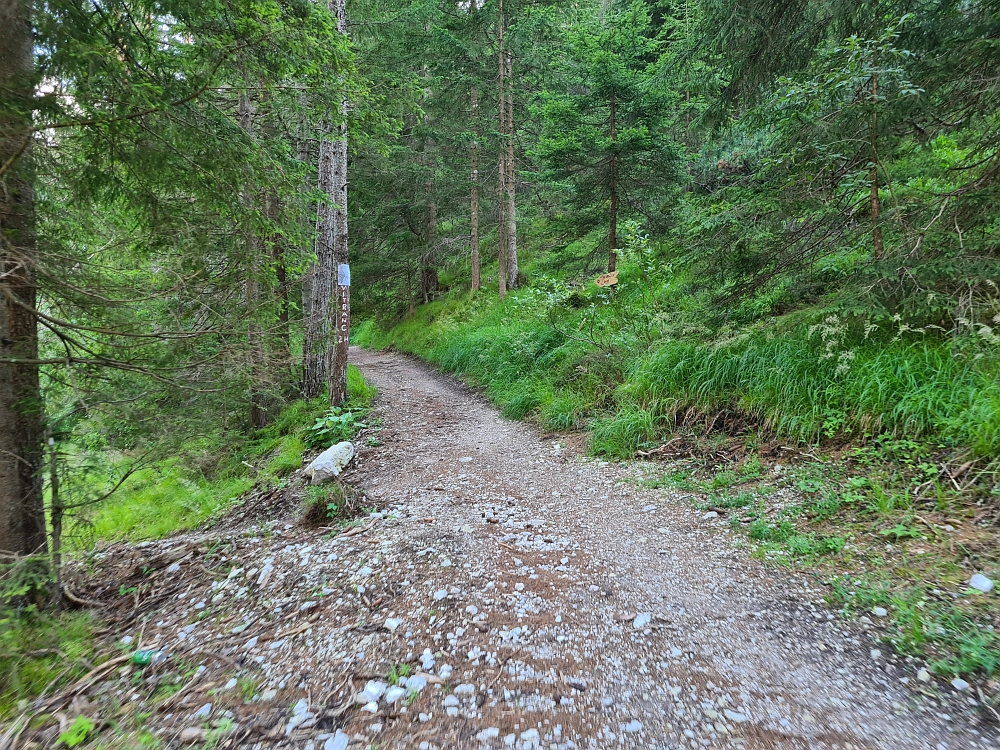 Slika je vidna v Google Chromu.