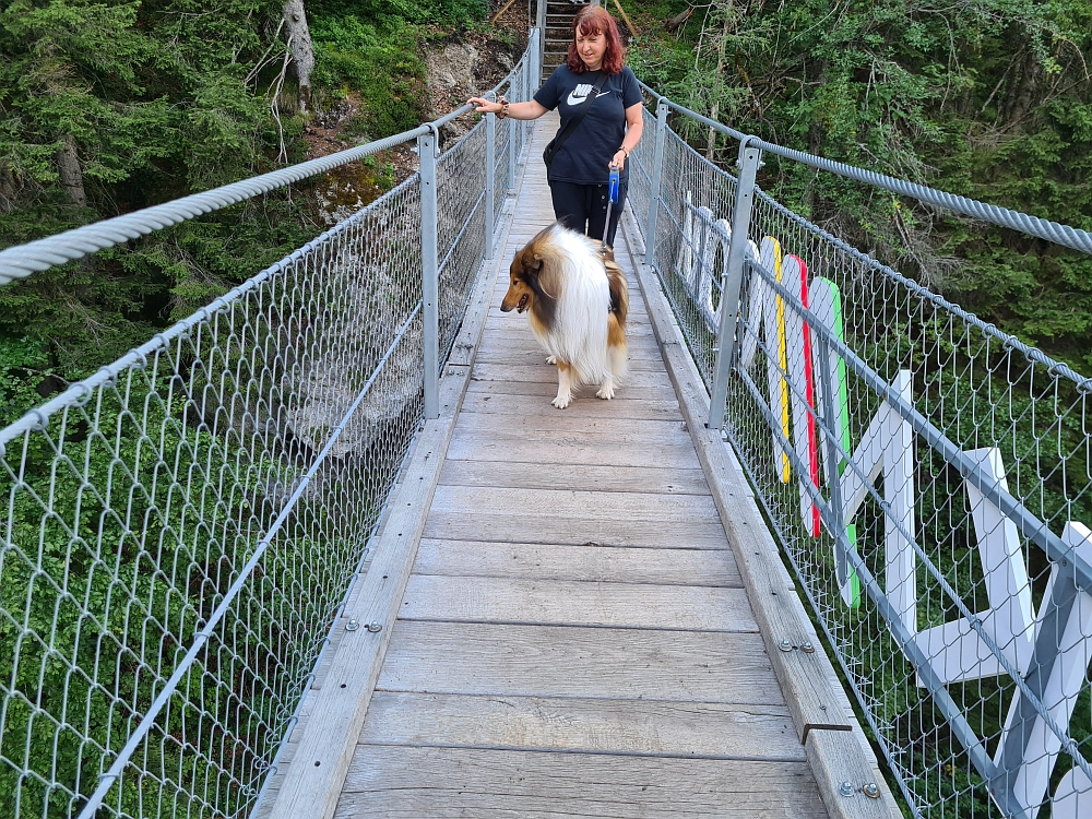 Slika je vidna v Google Chromu.