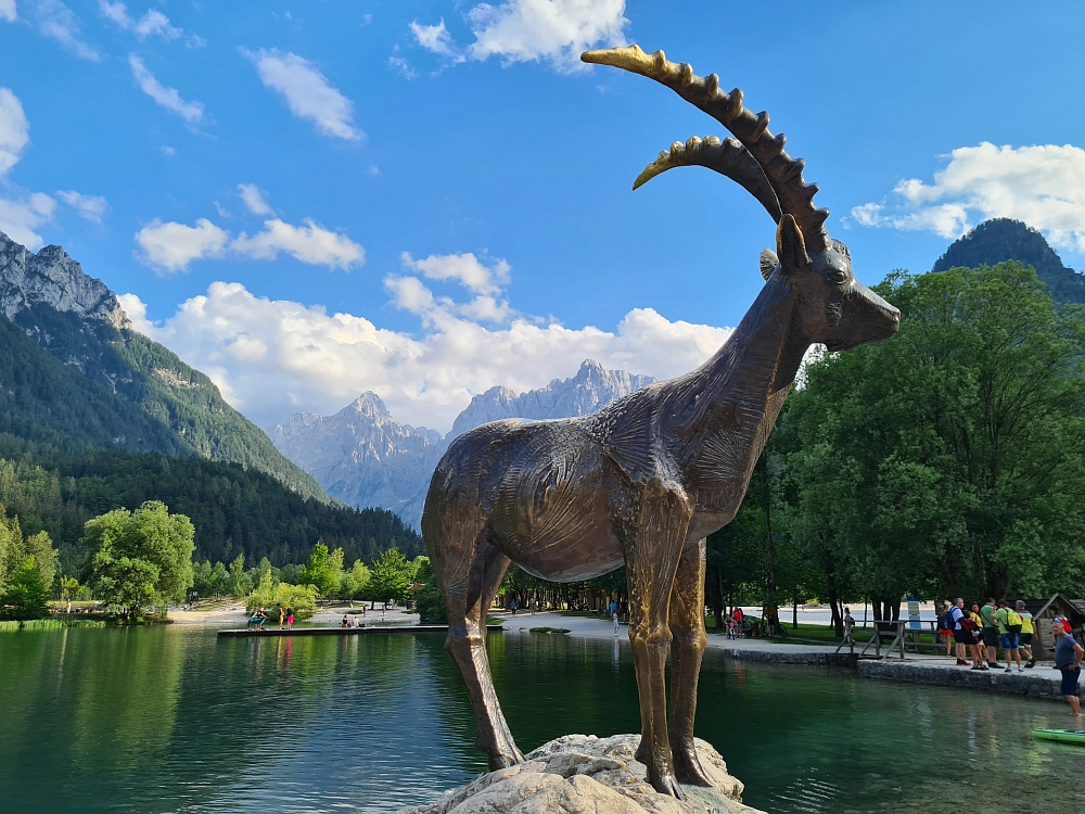 Slika je vidna v Google Chromu.