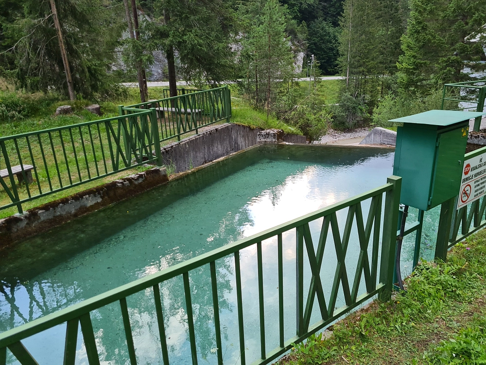 Slika je vidna v Google Chromu.