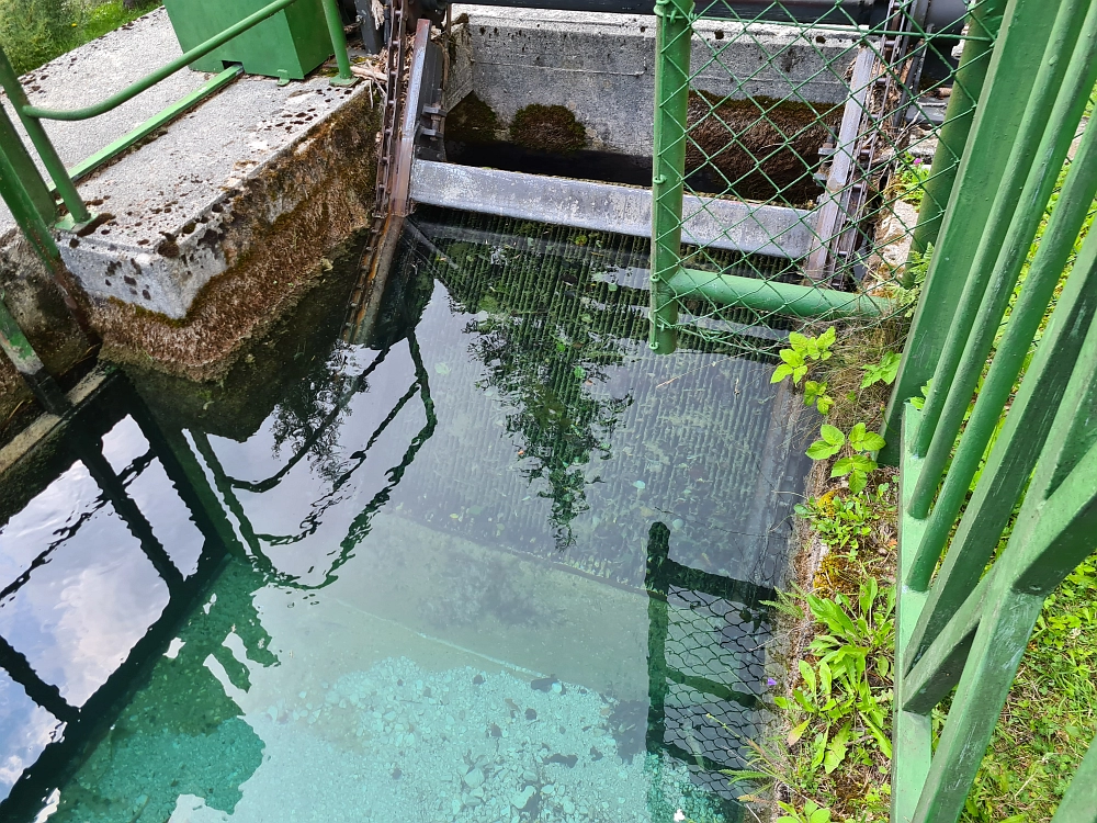 Slika je vidna v Google Chromu.