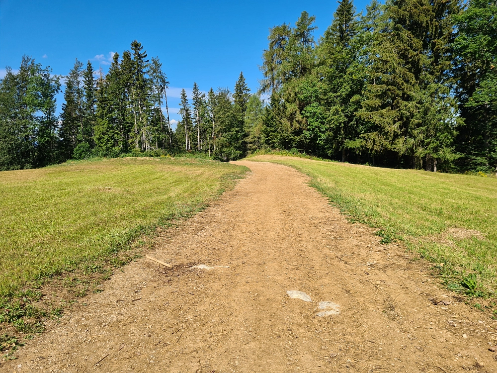 Slika je vidna v Google Chromu.