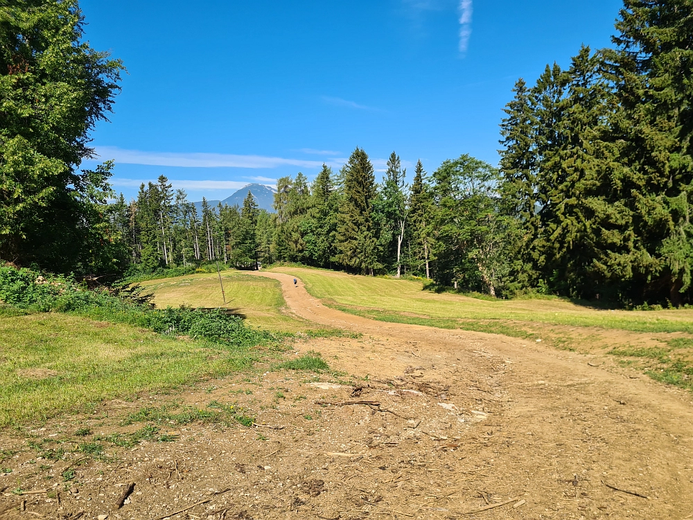 Slika je vidna v Google Chromu.