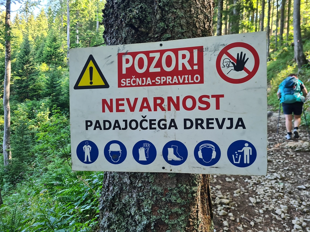 Slika je vidna v Google Chromu.