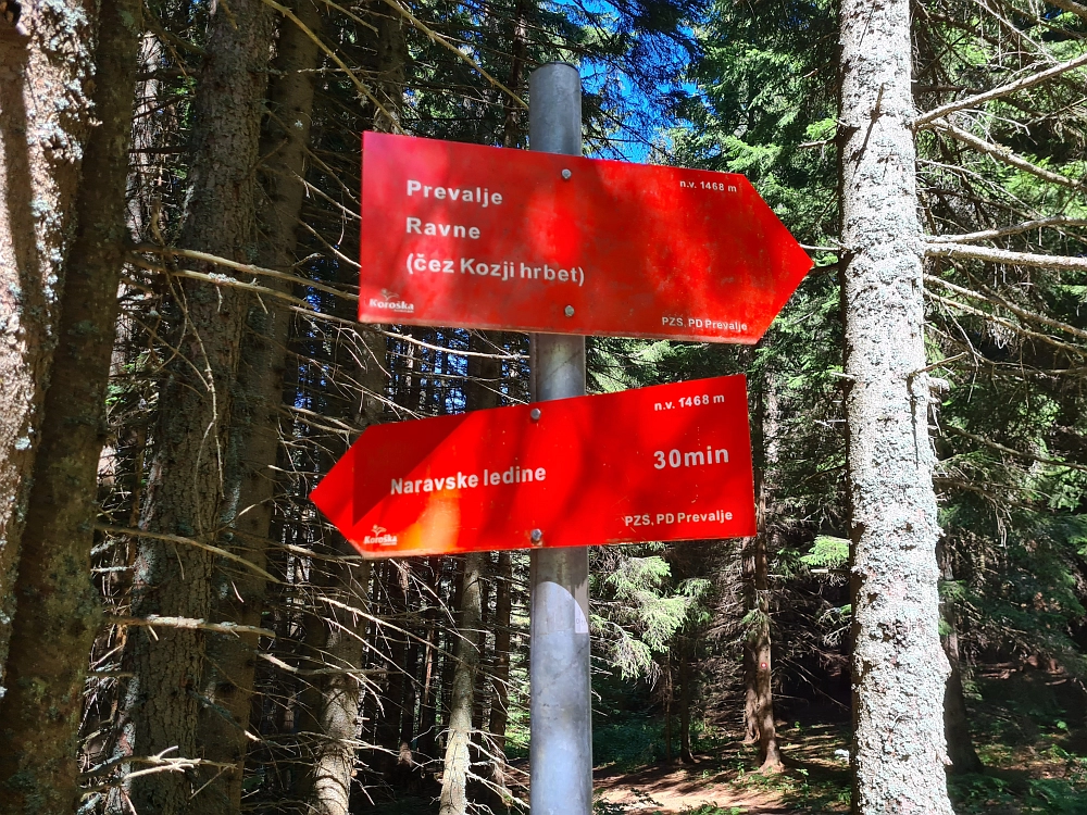 Slika je vidna v Google Chromu.