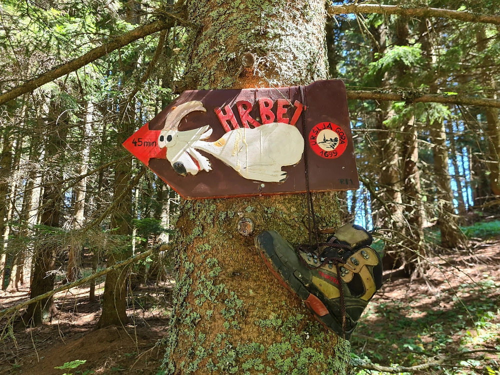 Slika je vidna v Google Chromu.