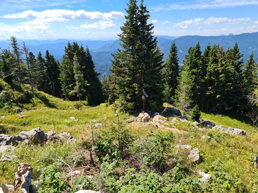 Slika je vidna v Google Chromu.