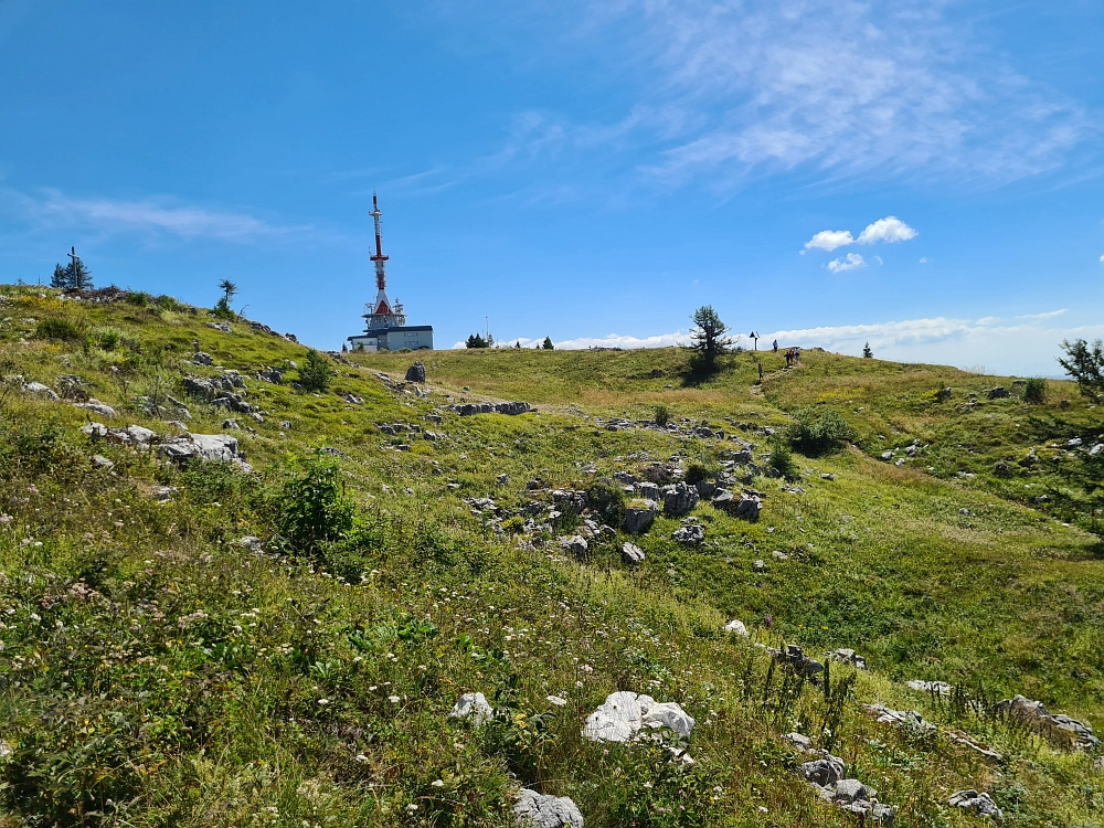 Slika je vidna v Google Chromu.