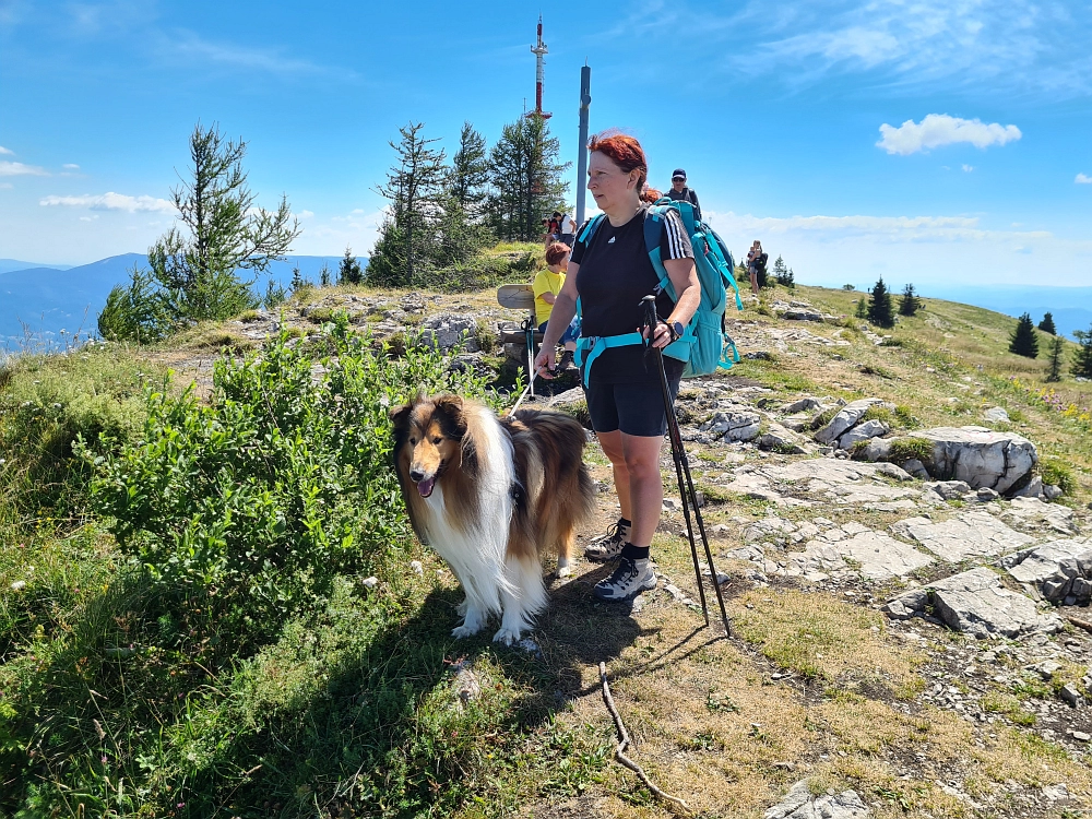 Slika je vidna v Google Chromu.