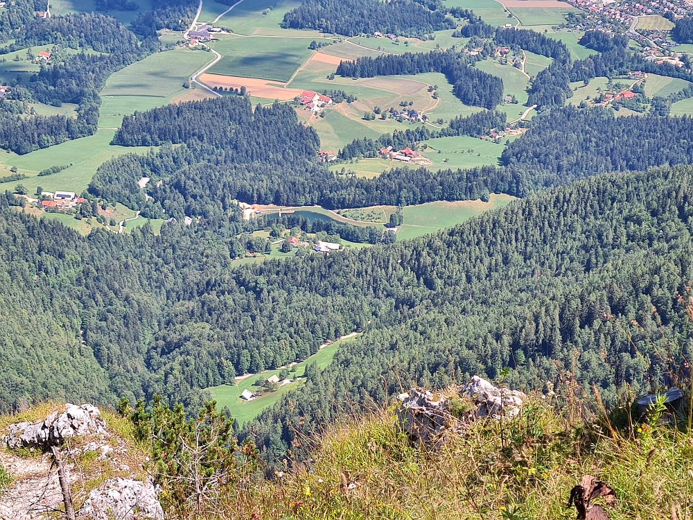 Slika je vidna v Google Chromu.