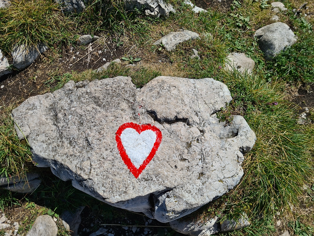 Slika je vidna v Google Chromu.