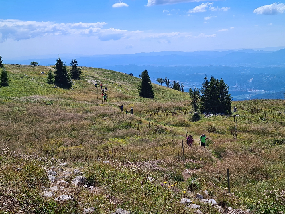 Slika je vidna v Google Chromu.