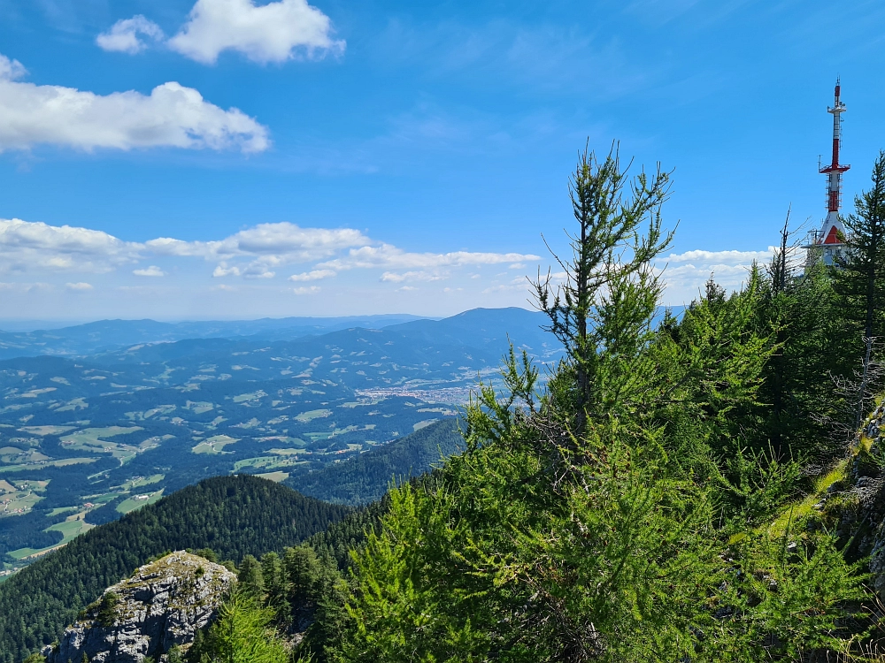 Slika je vidna v Google Chromu.
