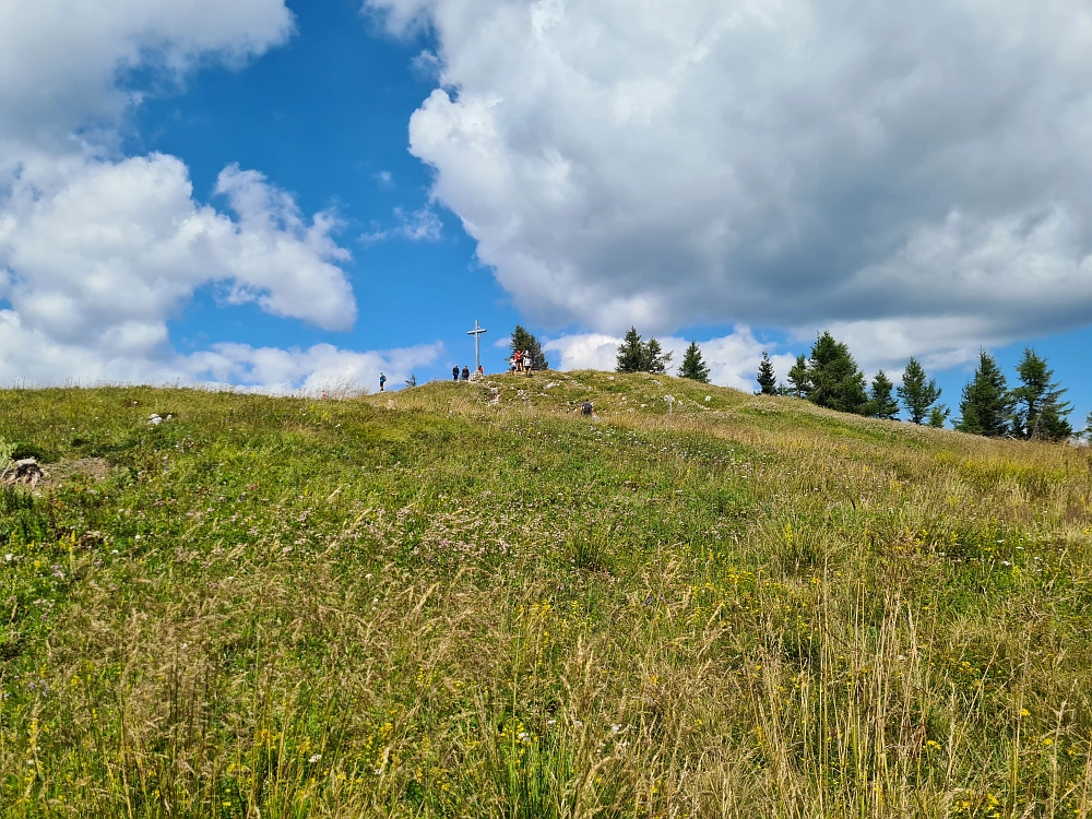 Slika je vidna v Google Chromu.