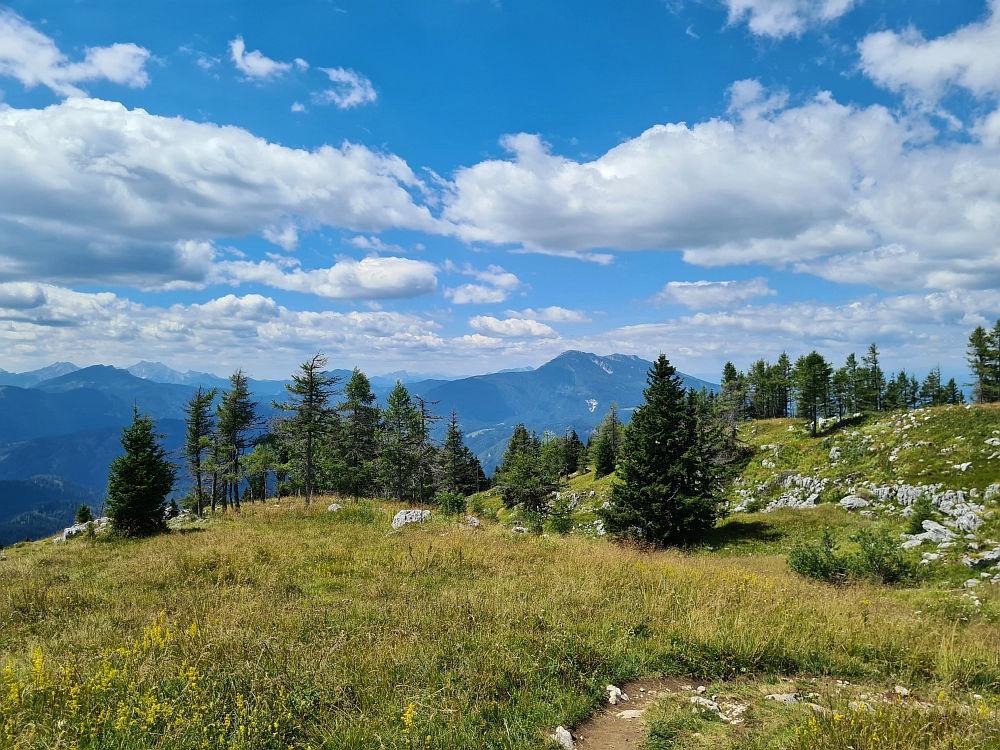 Slika je vidna v Google Chromu.