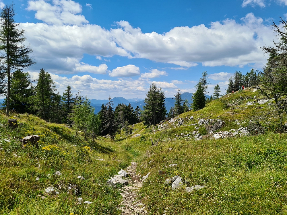 Slika je vidna v Google Chromu.