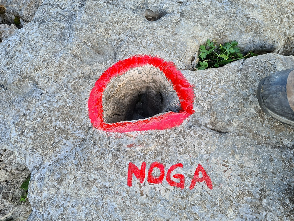 Slika je vidna v Google Chromu.