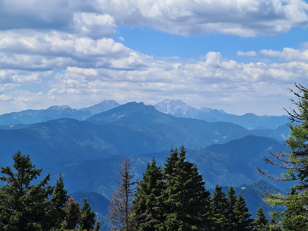 Slika je vidna v Google Chromu.