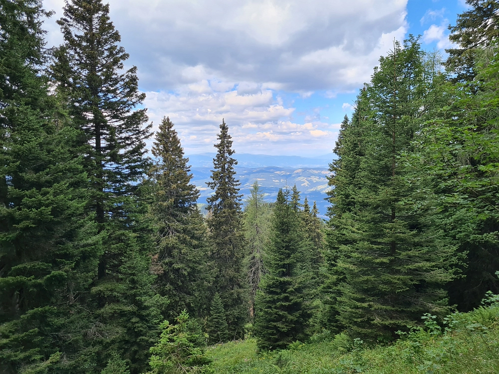 Slika je vidna v Google Chromu.