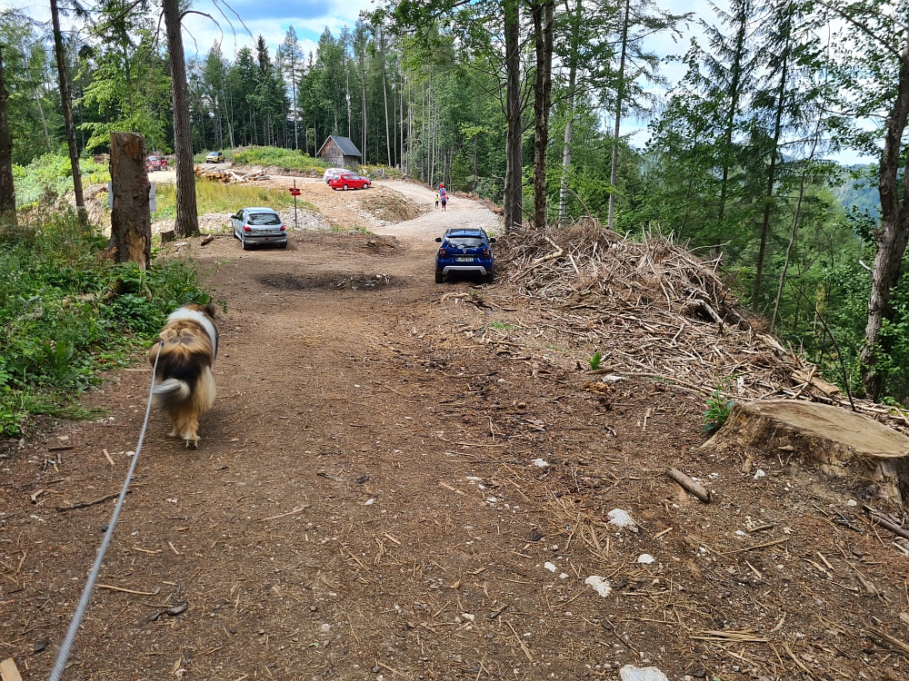 Slika je vidna v Google Chromu.