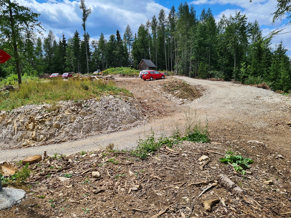 Slika je vidna v Google Chromu.
