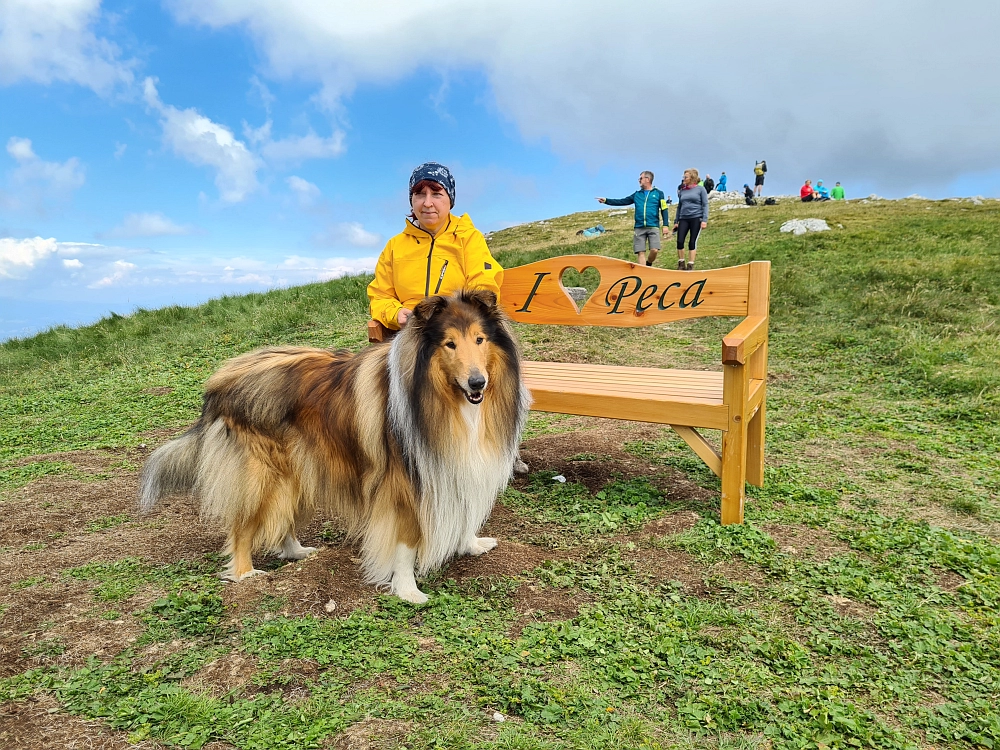 Slika je vidna v Google Chromu.