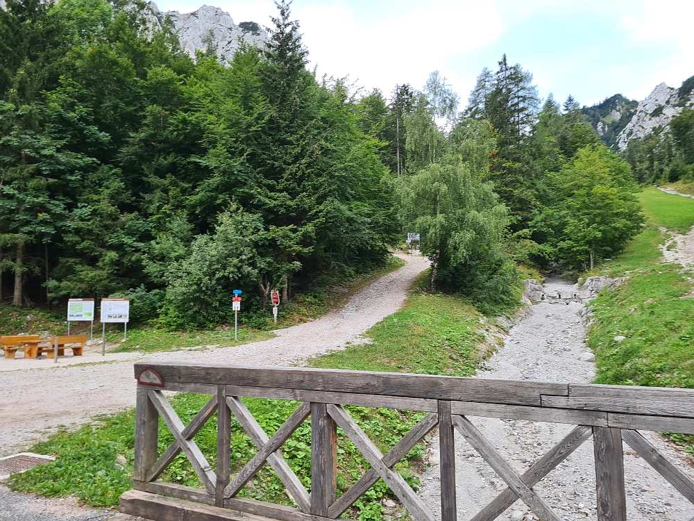 Slika je vidna v Google Chromu.