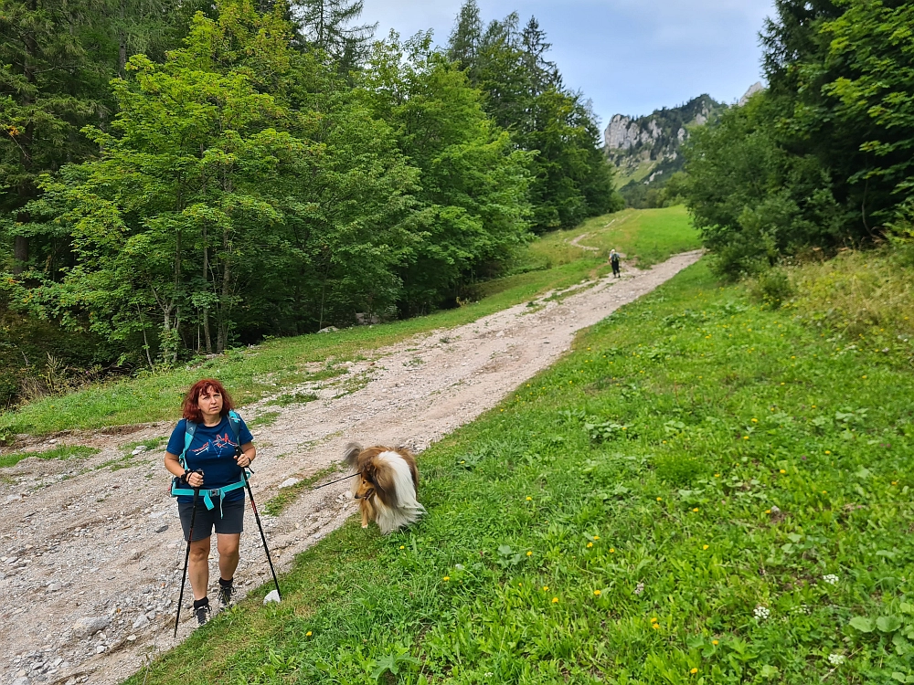 Slika je vidna v Google Chromu.