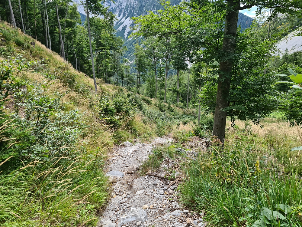 Slika je vidna v Google Chromu.