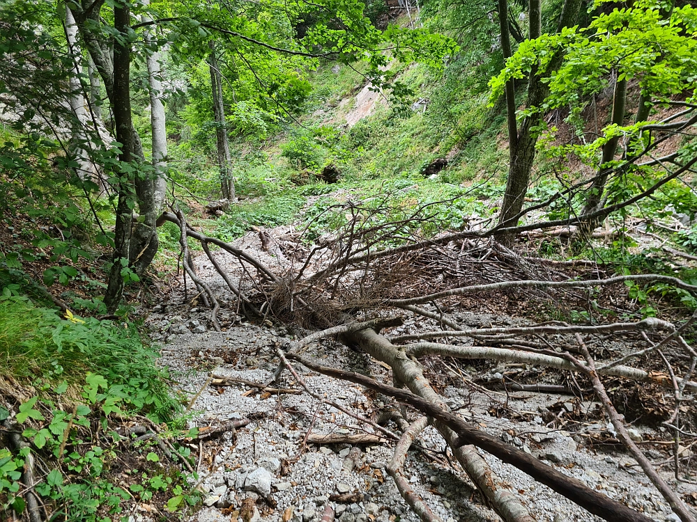 Slika je vidna v Google Chromu.