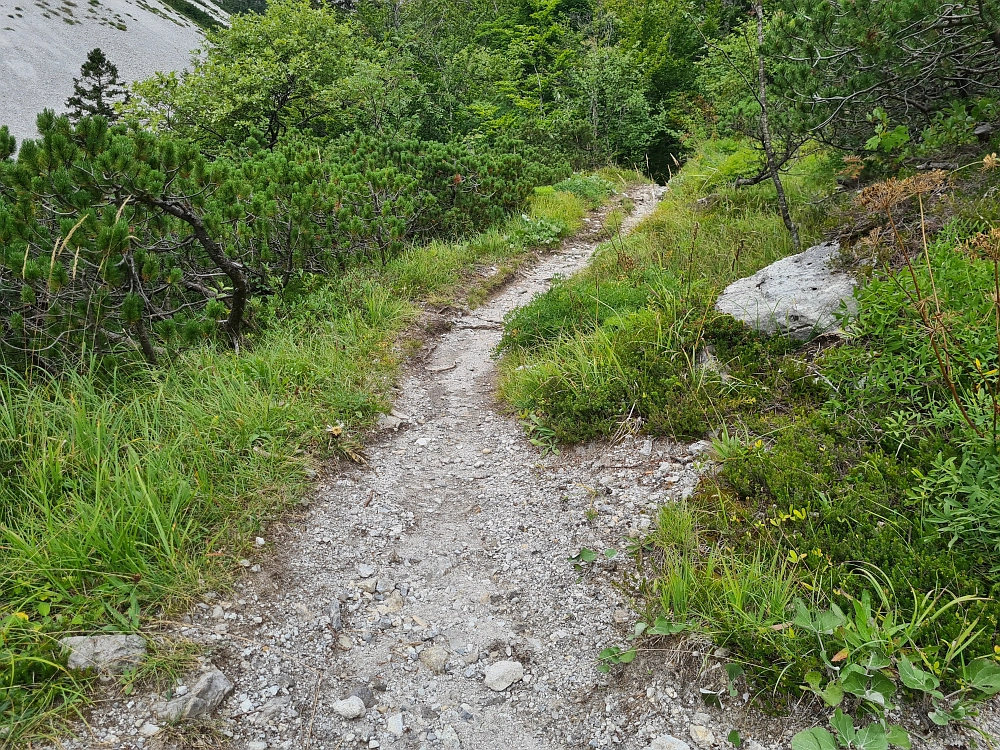 Slika je vidna v Google Chromu.