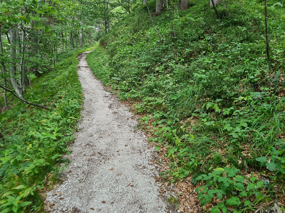 Slika je vidna v Google Chromu.