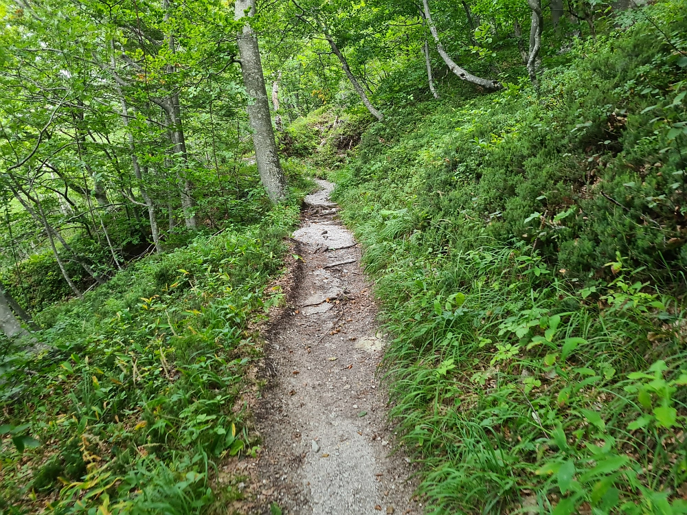 Slika je vidna v Google Chromu.