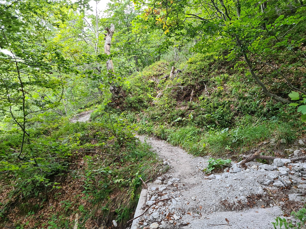 Slika je vidna v Google Chromu.