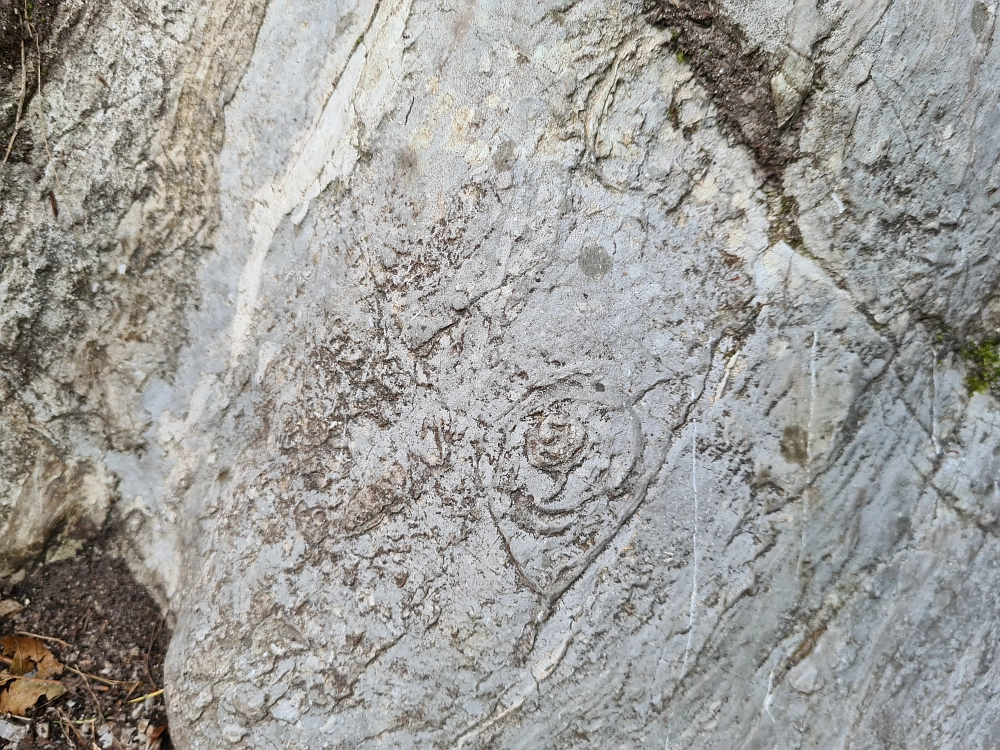 Slika je vidna v Google Chromu.