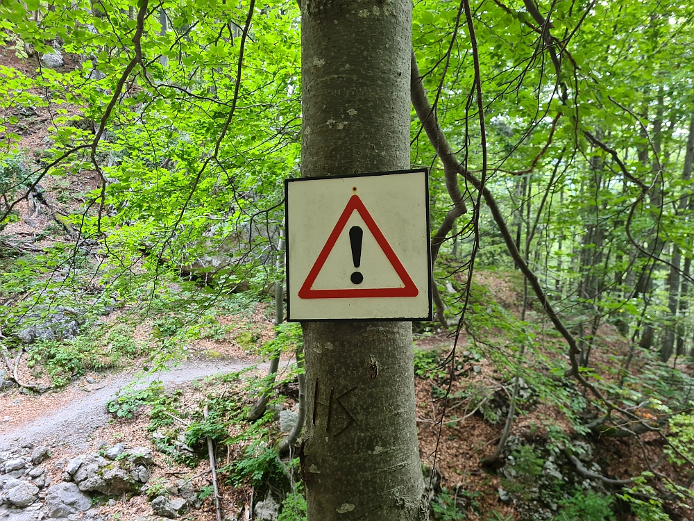 Slika je vidna v Google Chromu.