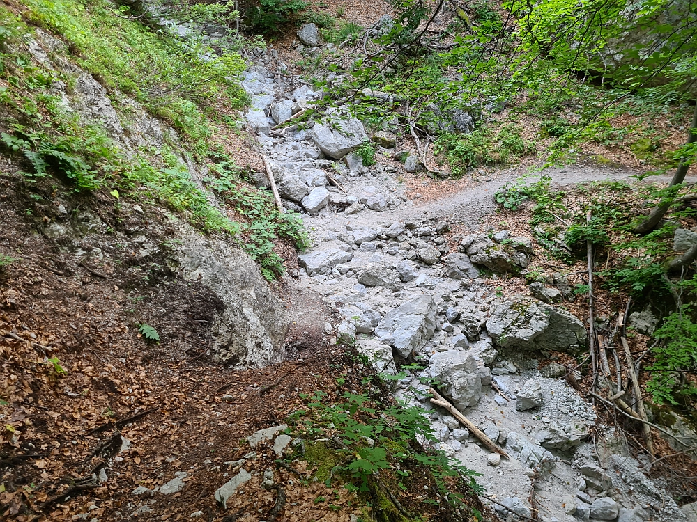 Slika je vidna v Google Chromu.