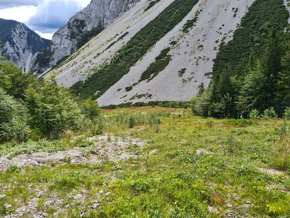 Slika je vidna v Google Chromu.