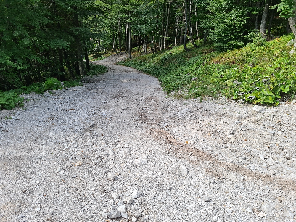 Slika je vidna v Google Chromu.