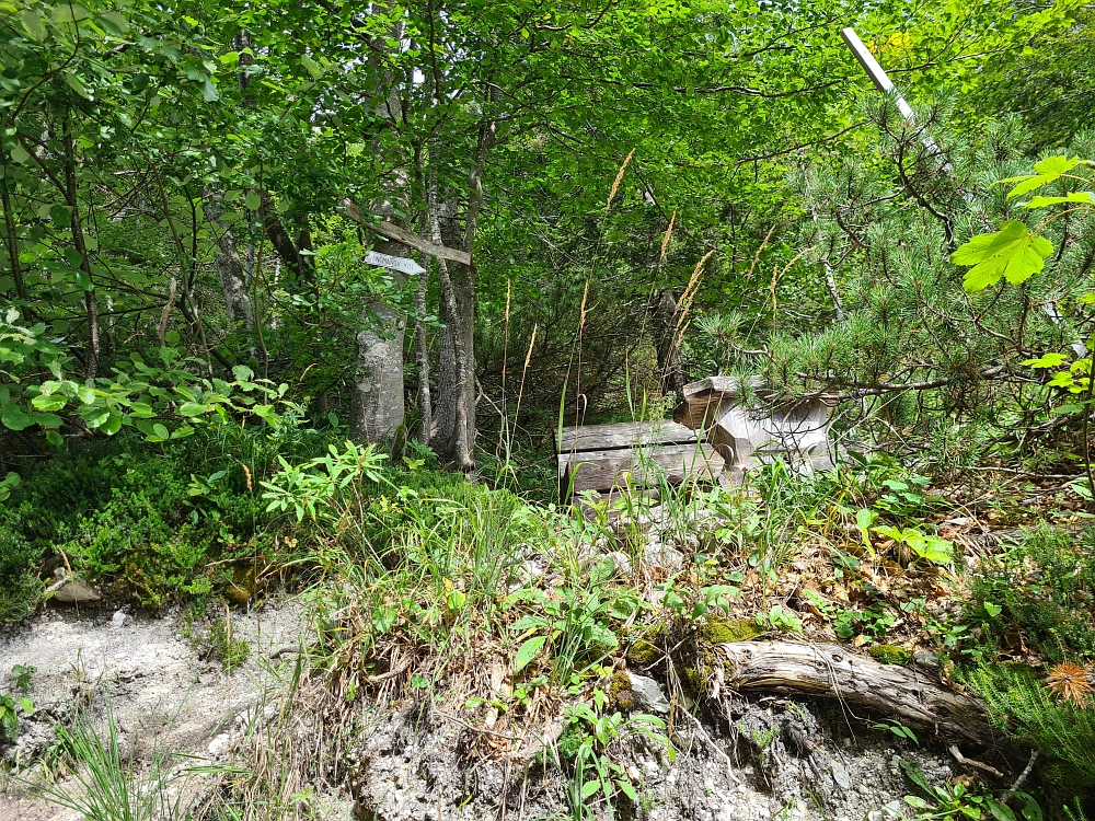 Slika je vidna v Google Chromu.