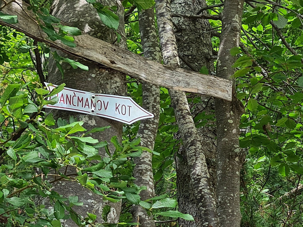 Slika je vidna v Google Chromu.