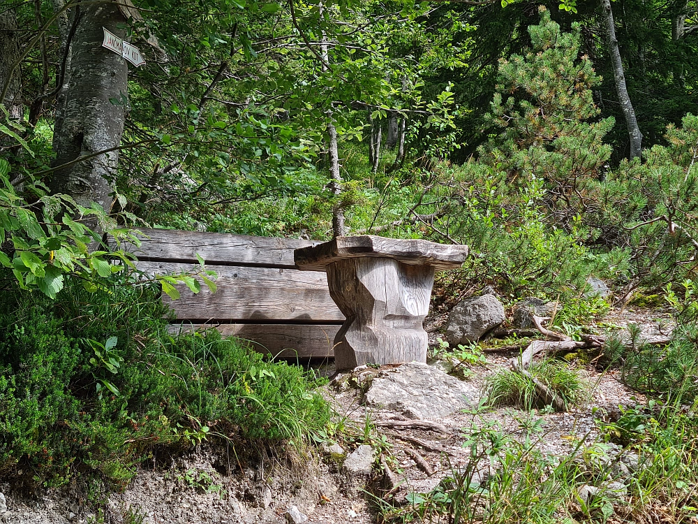 Slika je vidna v Google Chromu.