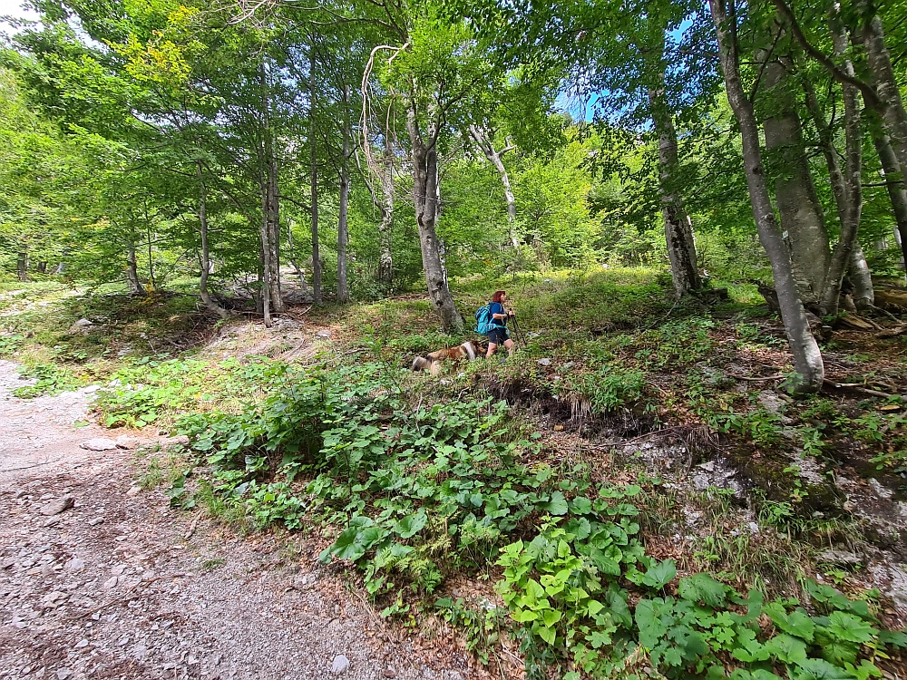Slika je vidna v Google Chromu.