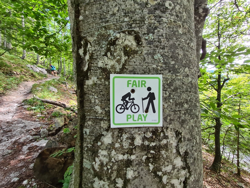 Slika je vidna v Google Chromu.