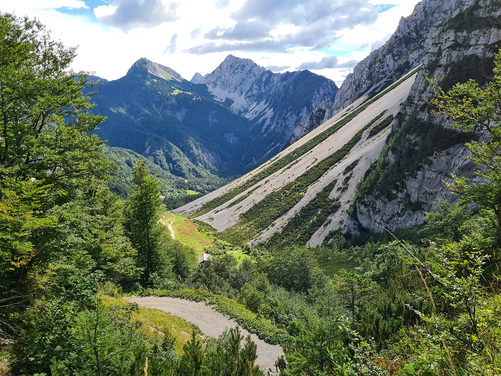 Slika je vidna v Google Chromu.