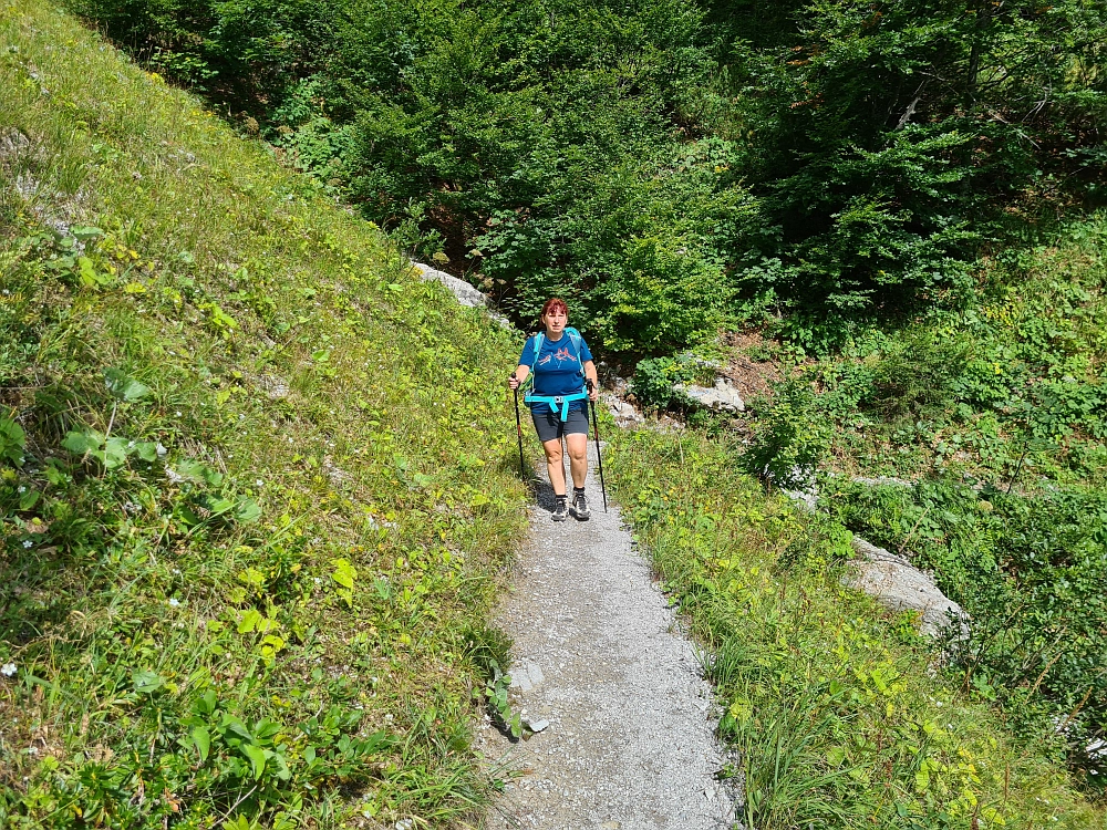 Slika je vidna v Google Chromu.